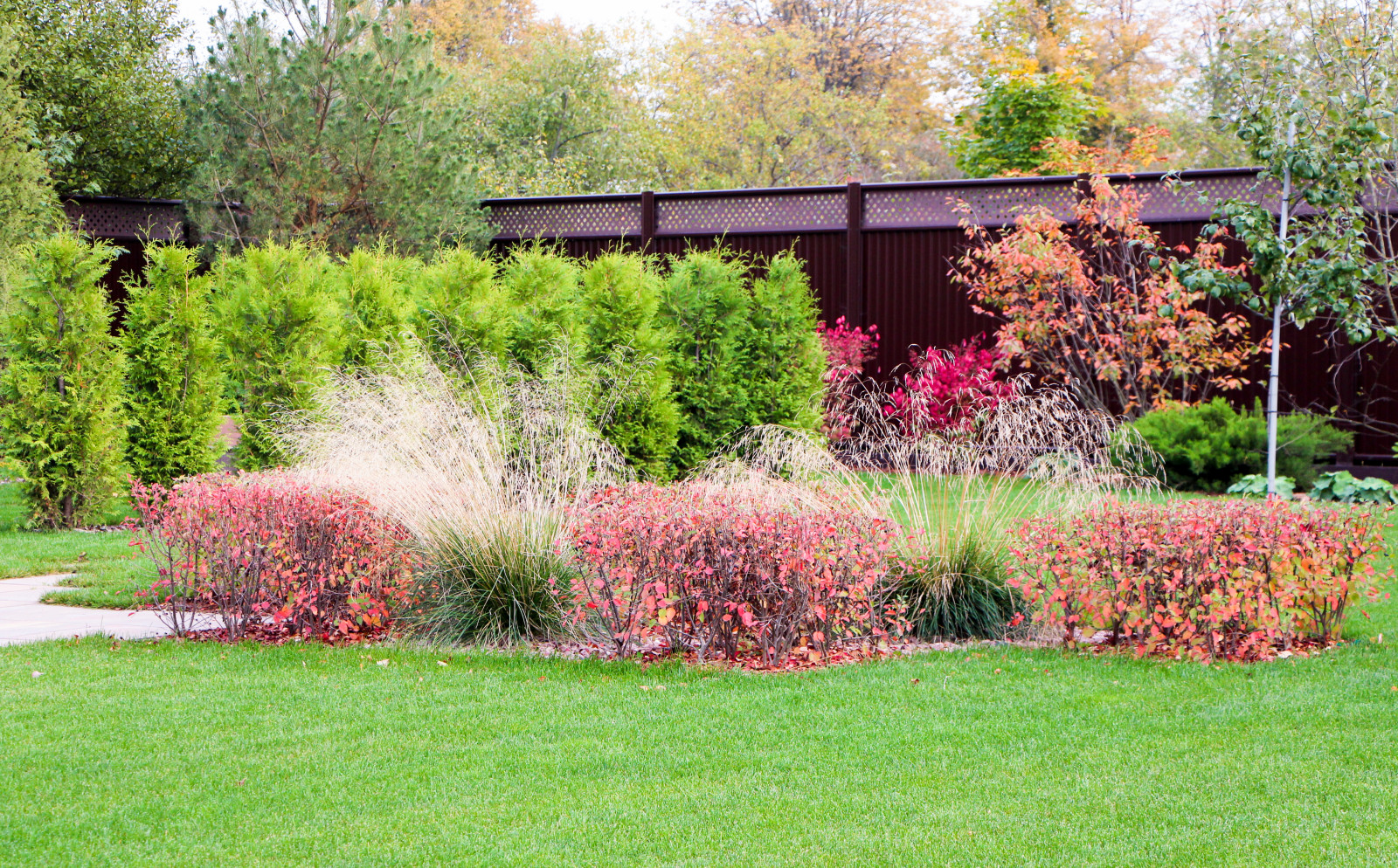 Петровское, 2018-2020 гг.