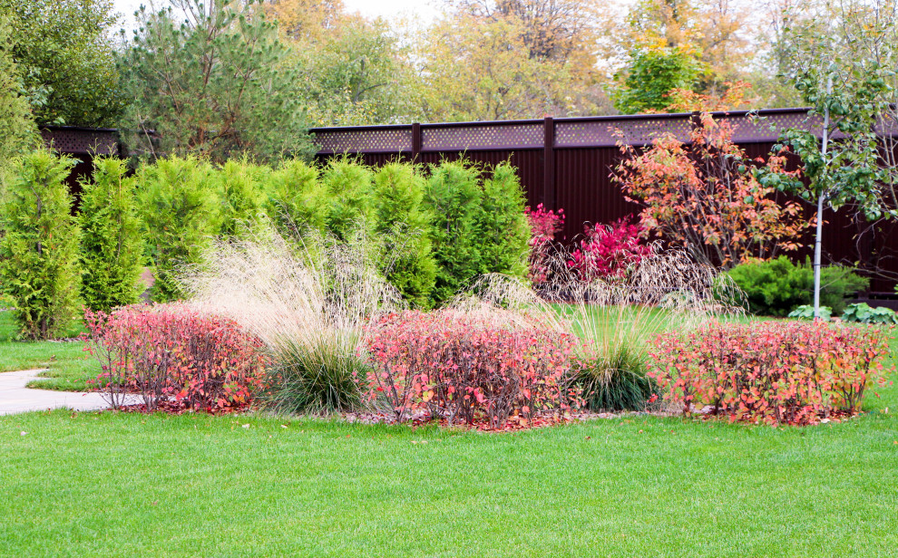 Петровское, 2018-2020 гг.