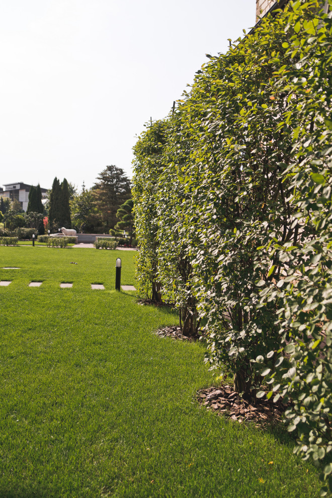 Современный сад на Успенском шоссе