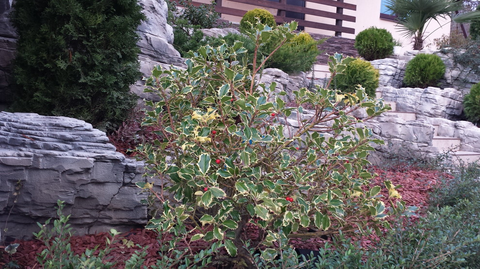 Благоуствойство частного домовладения