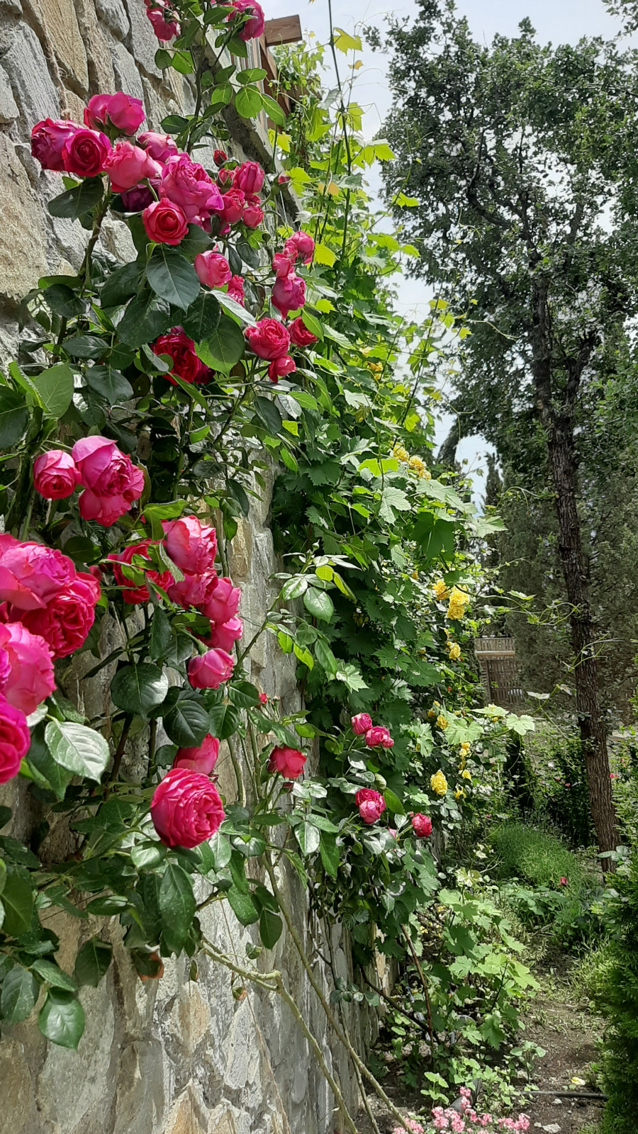 Ландшафтный дизайн