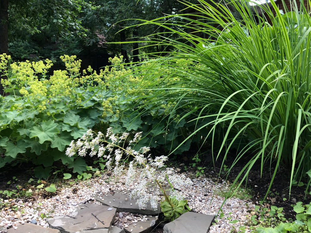 Белкин сад. Лето 2019