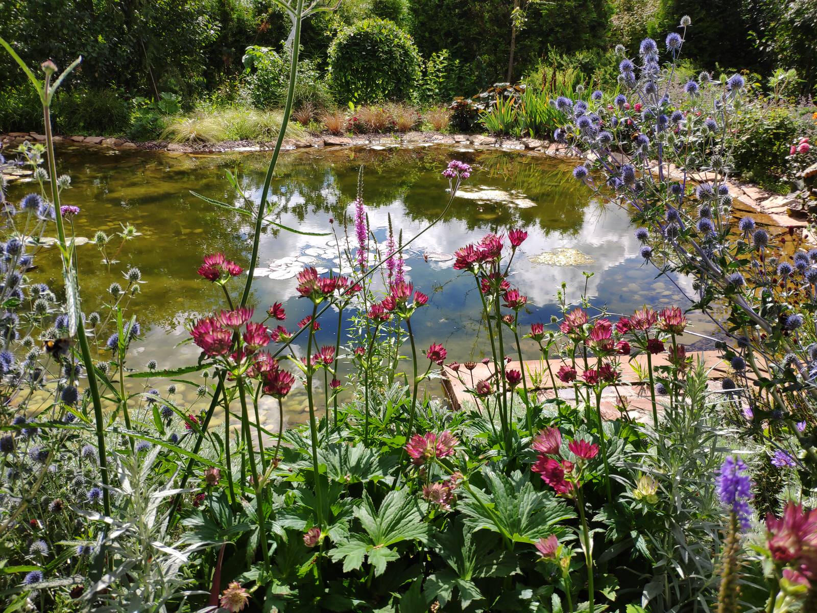 "Экспериментальный" сад любителя растений