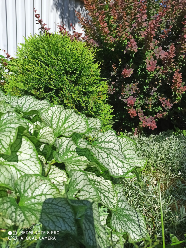 Ландшафт сада в 6 соток.