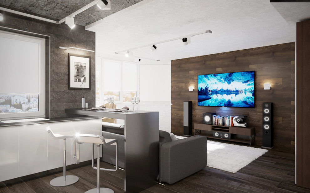 Холостяцкая квартира (гостиная/кухня)