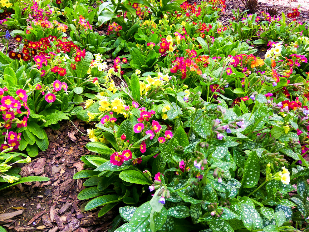 Лобаново, 2012-2021 гг.