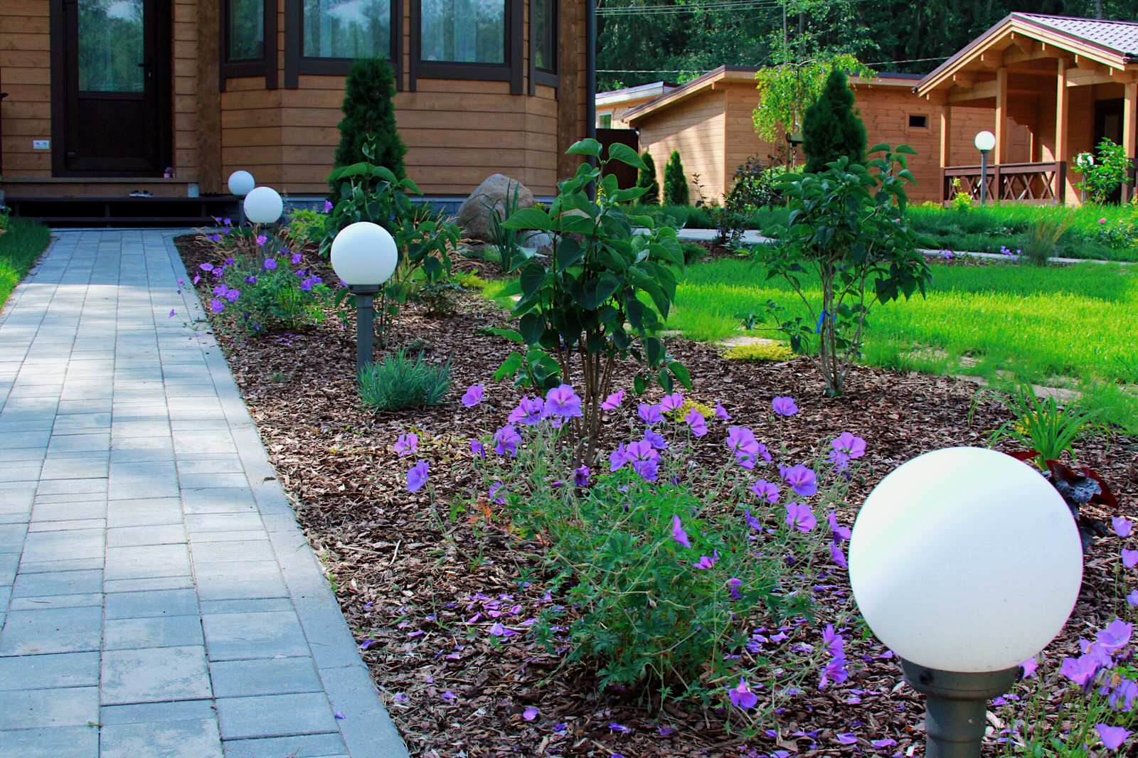 Обложка проекта: Шепелево