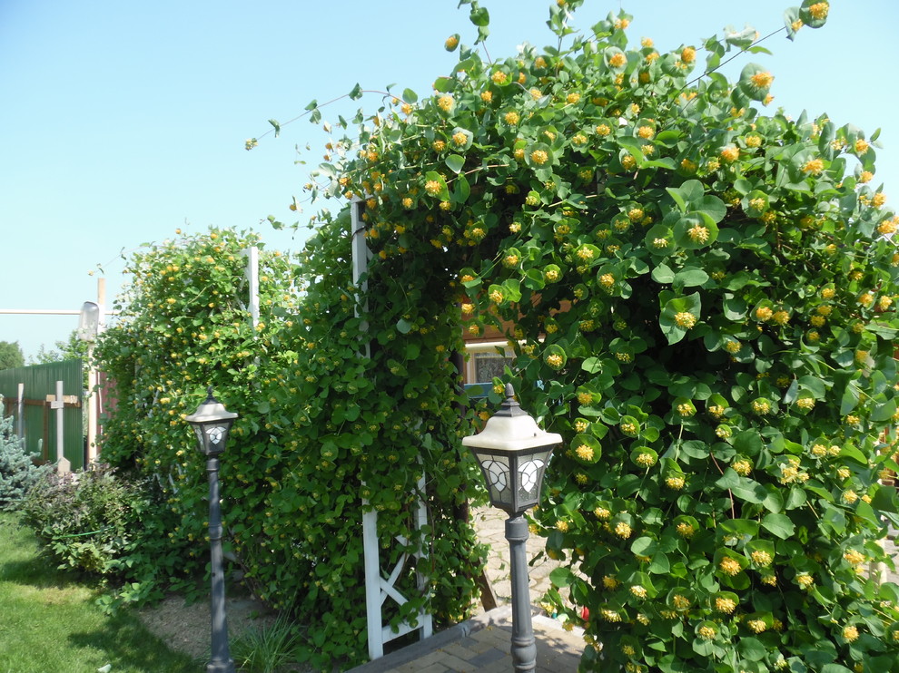 Современная классика. Цветущий сад.