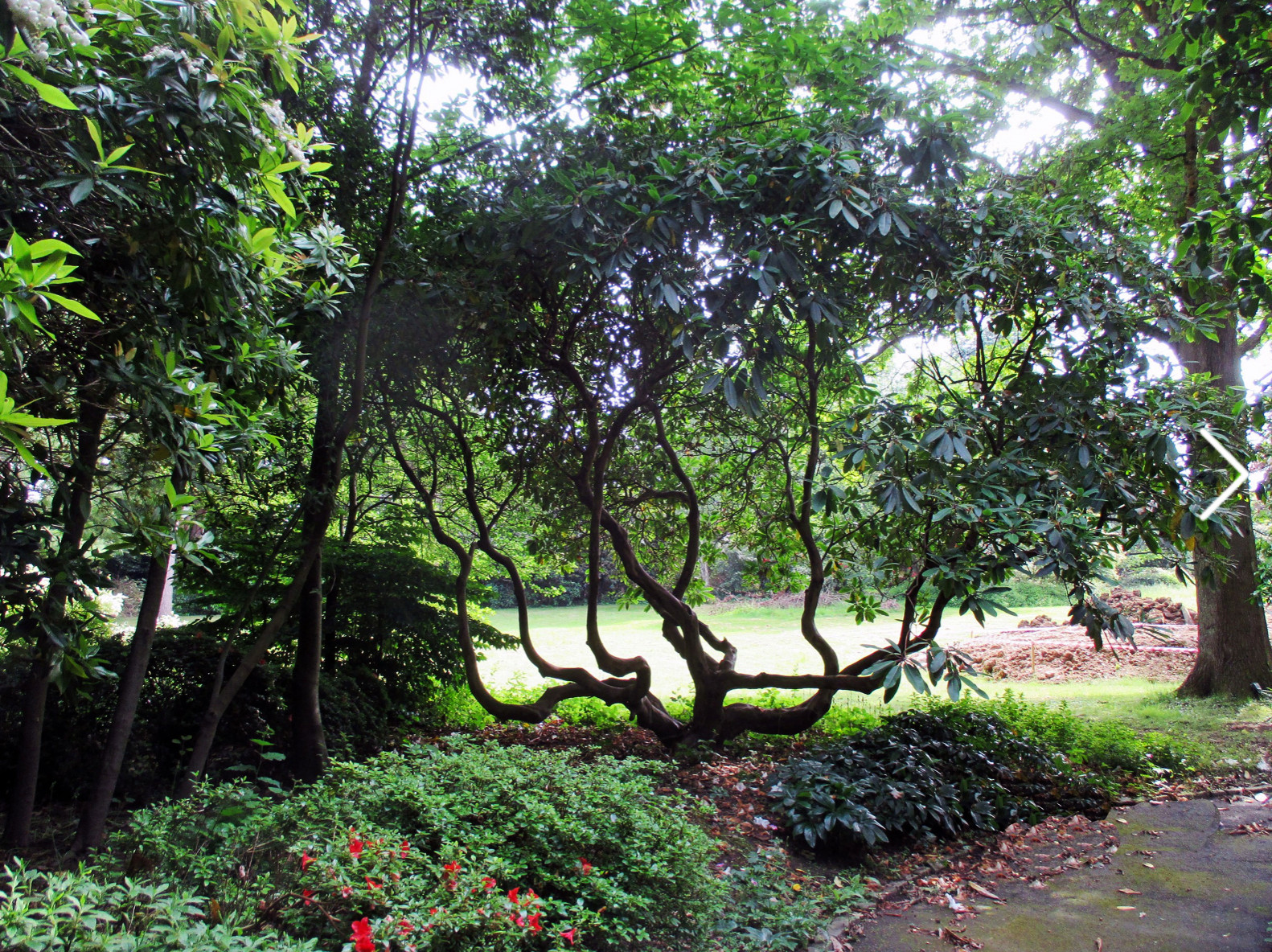 Частная вилла Chesham place