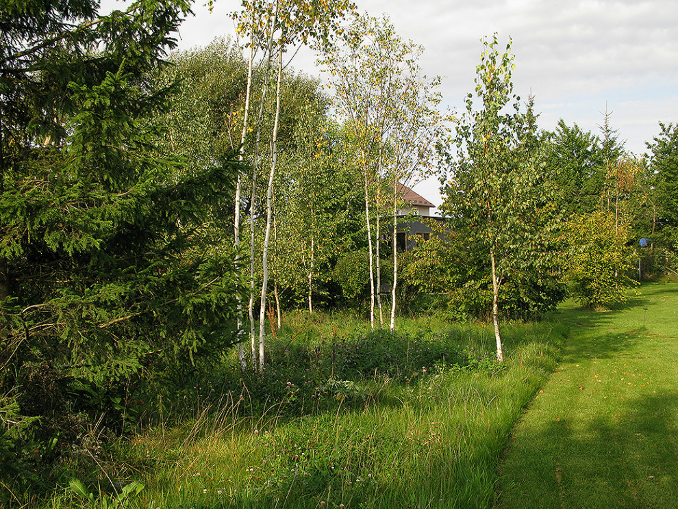 Houzz Белоруссия: Сад в тумане