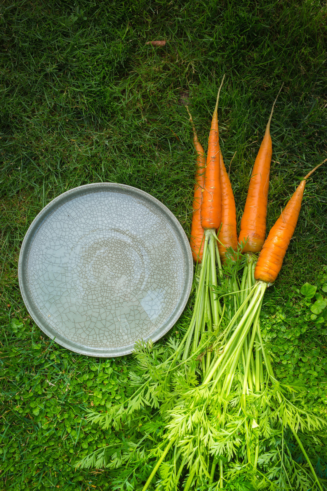 Обложка проекта: Посуда для ресторанов