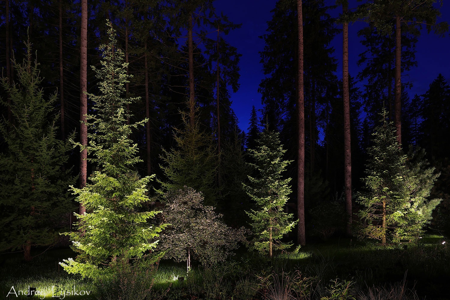 Обложка проекта: Ночная съемка ландшафтного освещения