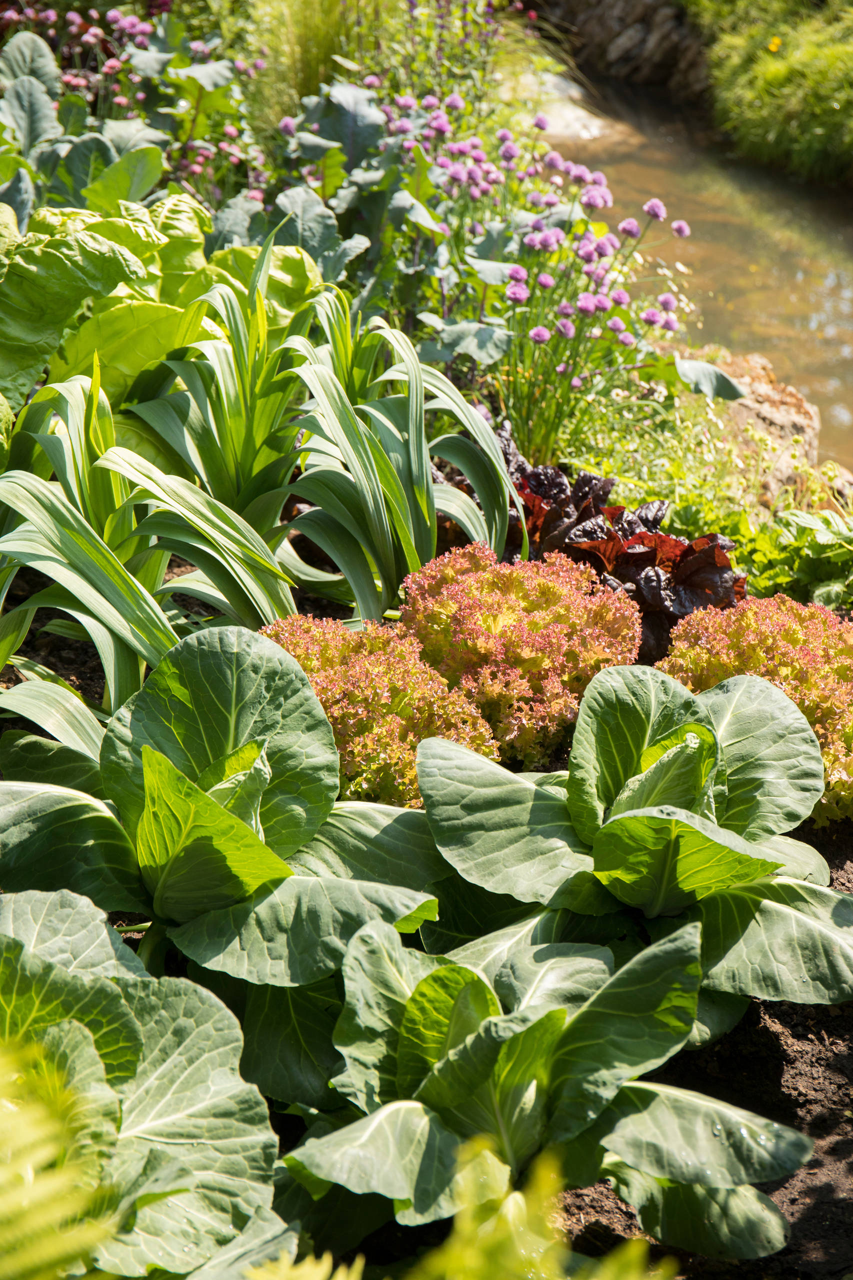 Уроки Chelsea Flower Show: Сад хорошего самочувствия