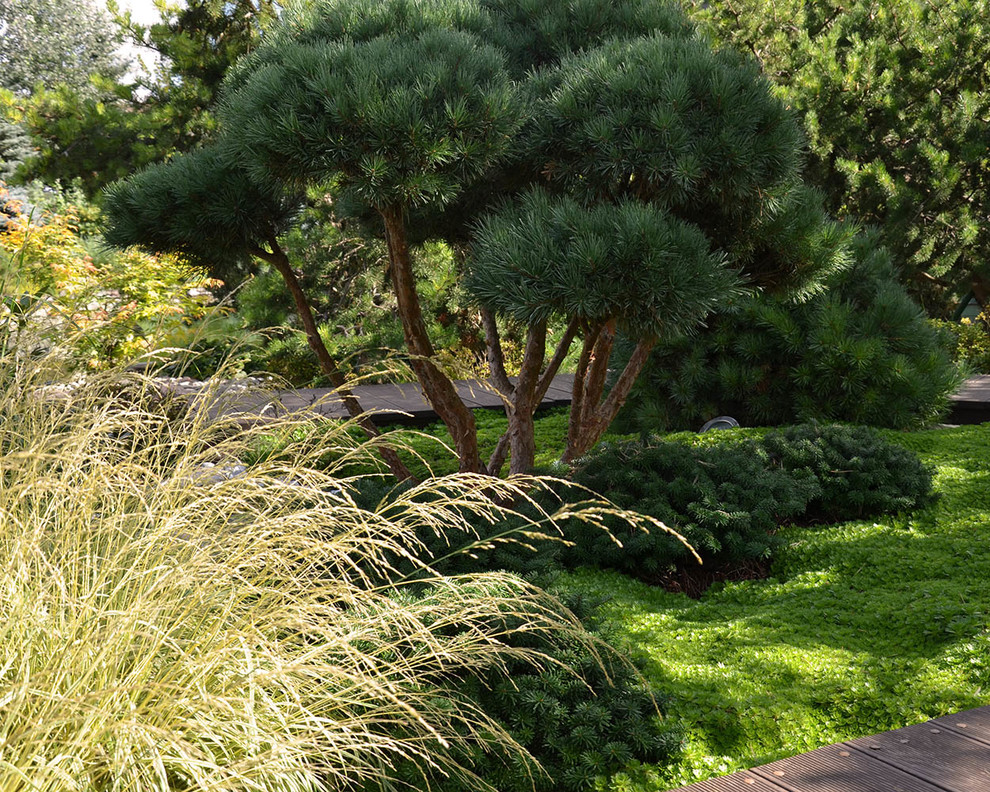 Ландшафтный сад с прудом в КП "Европа"