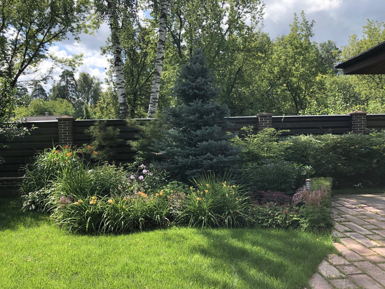 Сад в поселке Салтыковка