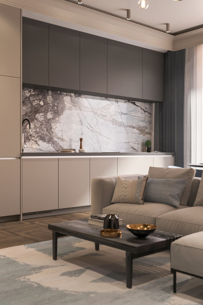 Проект 2х комнатной квартиры на Державина