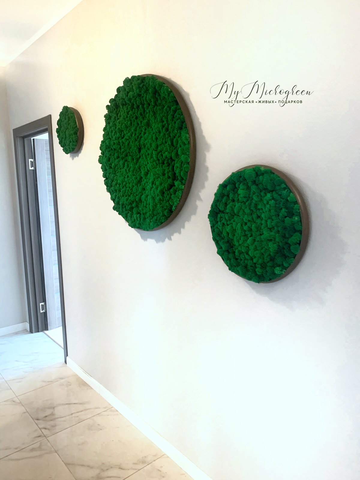 Обложка проекта: Круглые панно со мхом