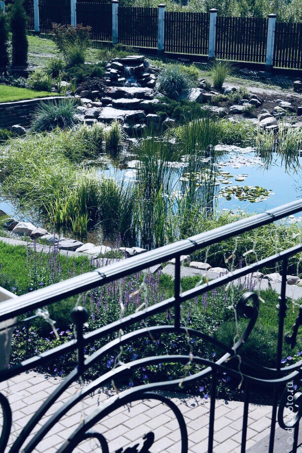 "реконструкция водоема"