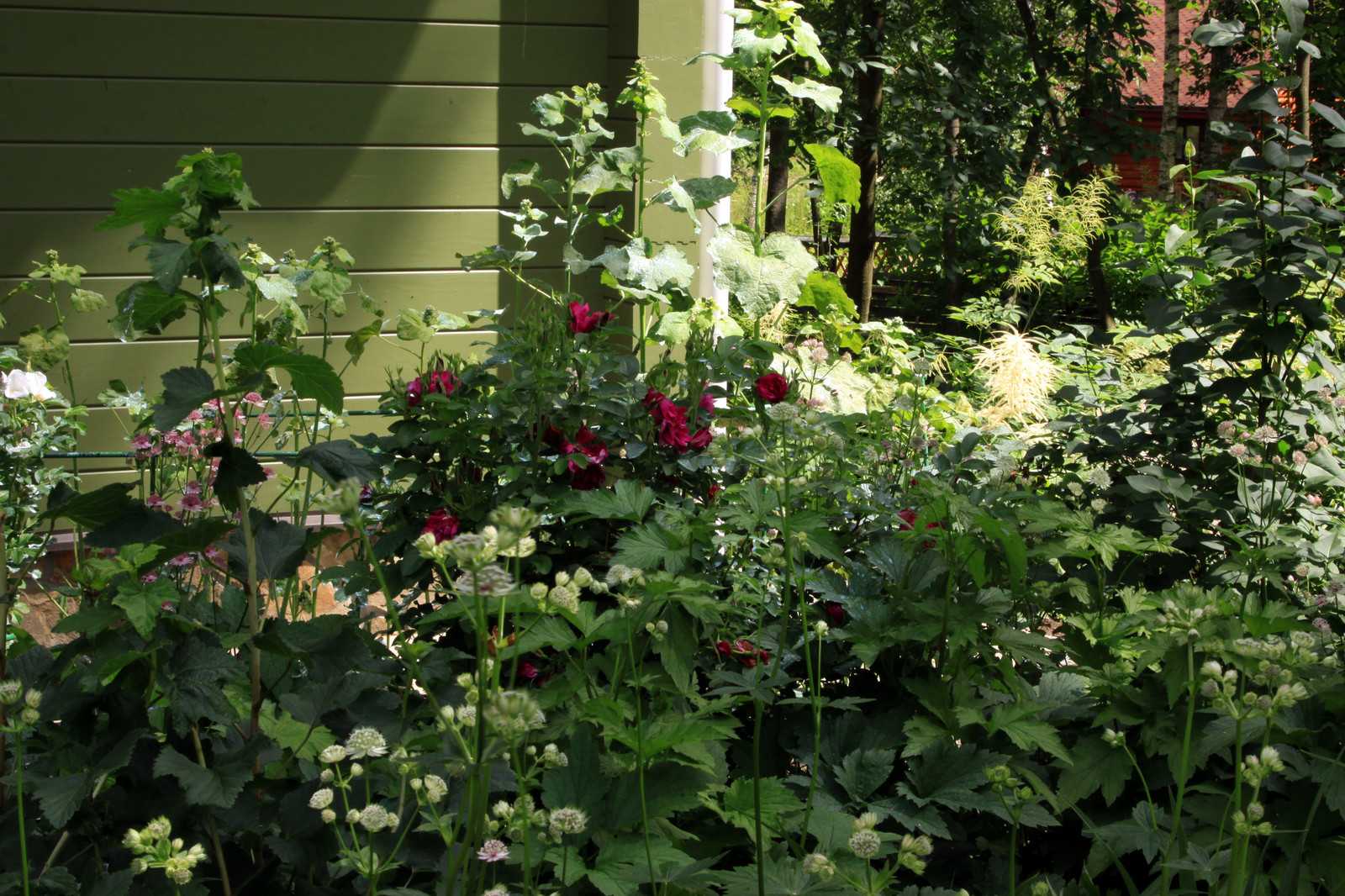 Проект "Волны". Верхний сад