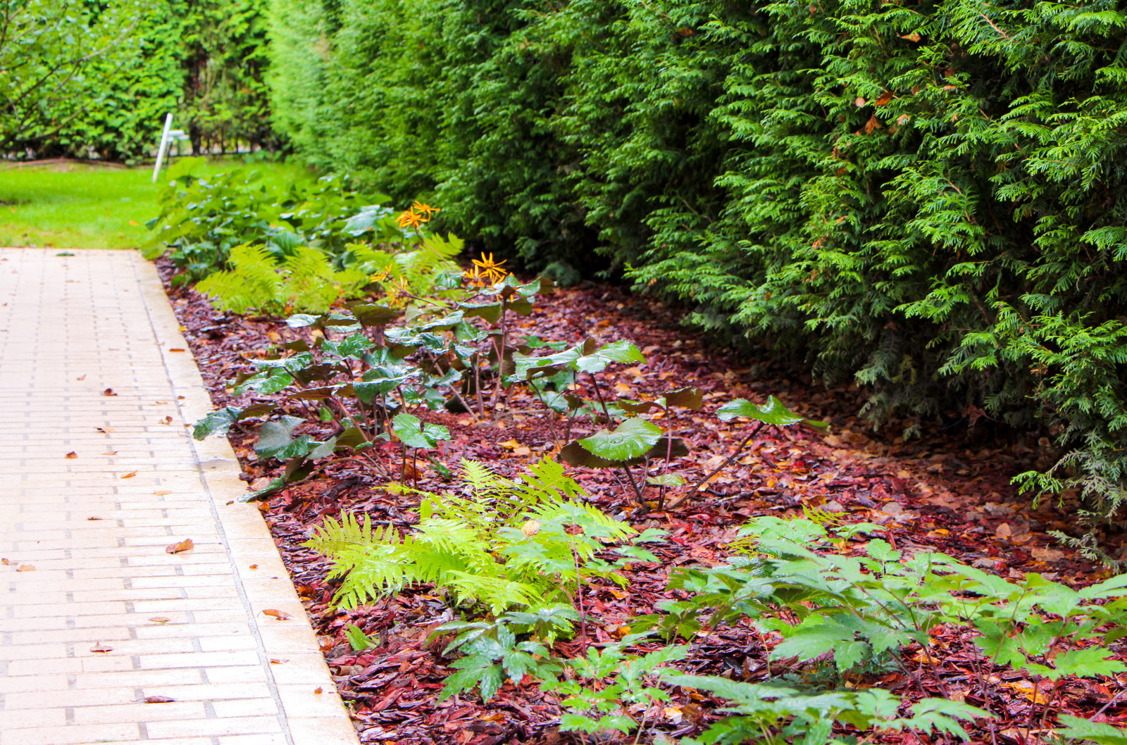 Королев, 2013-2016 гг.