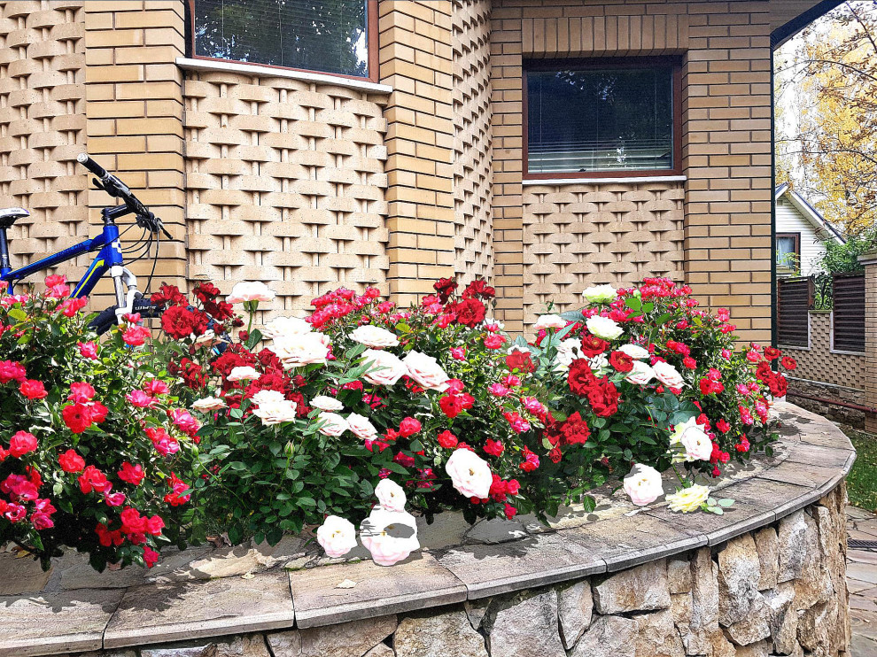 Визуализации