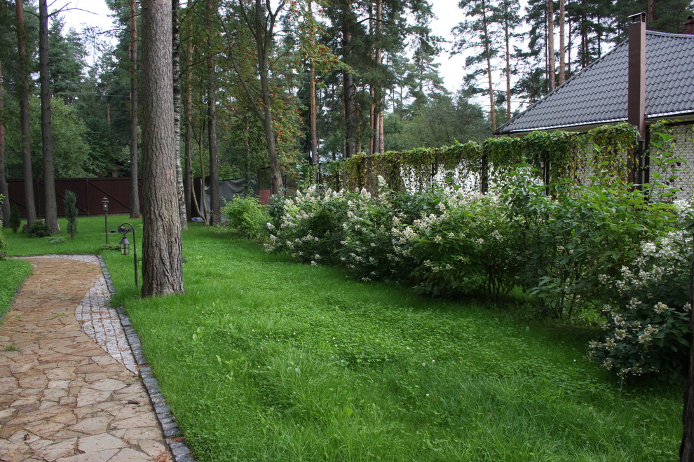 Реализация ландшафтного проекта в сосновом лесу