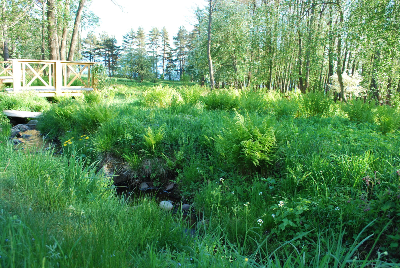 Натуралистический стиль в ландшафтном дизайне.