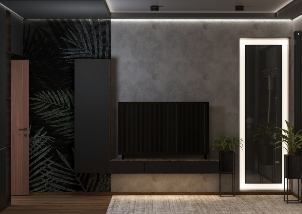 ТВ зона вечерний вариант