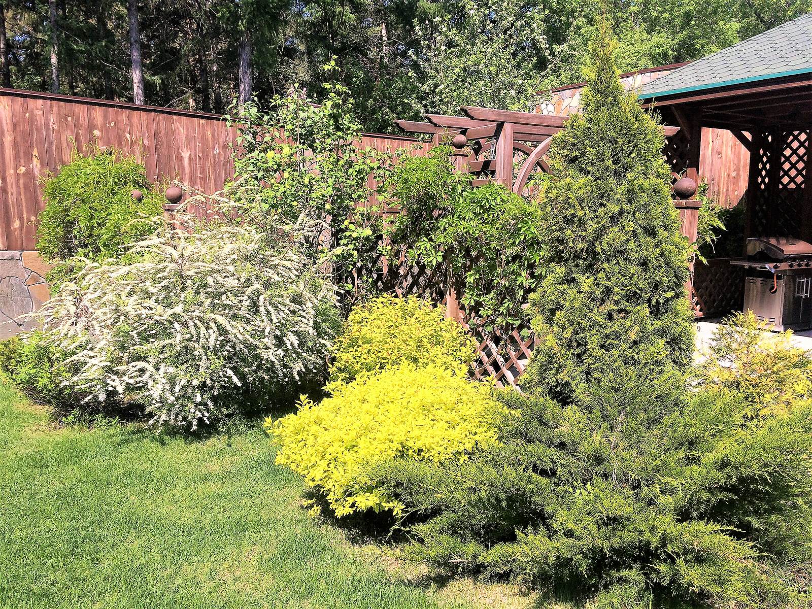 В Центре мегаполиса