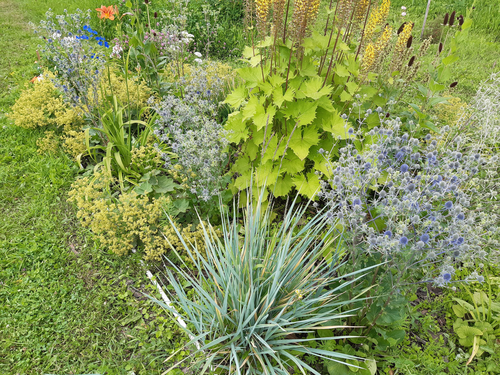 Миксбордер