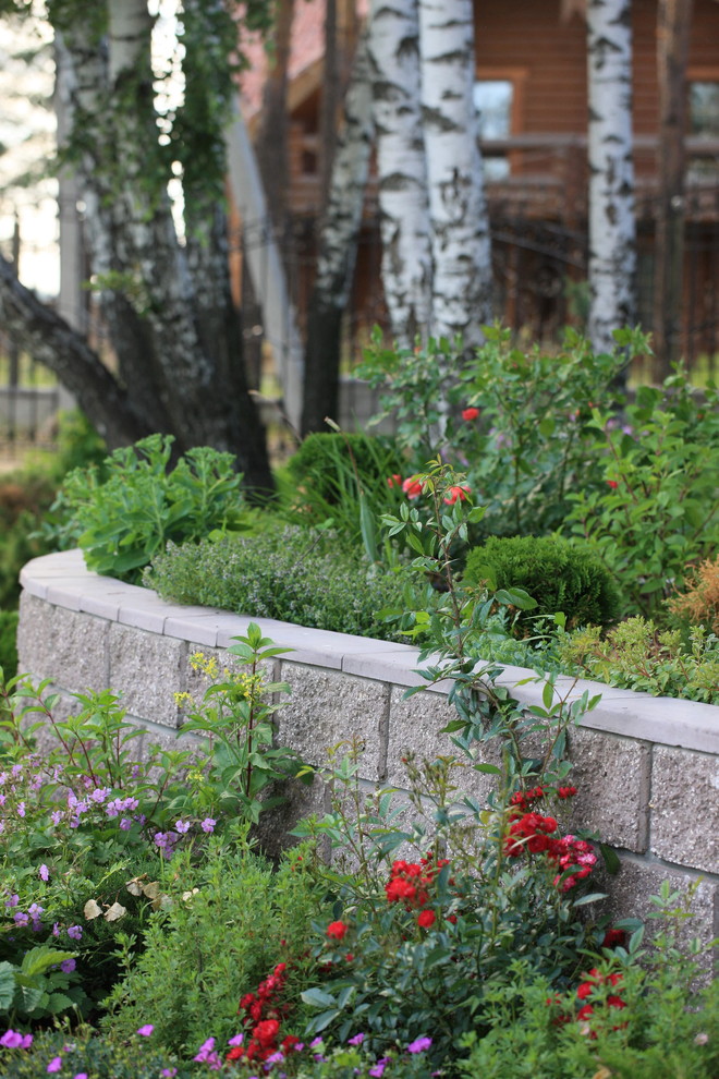 Березовая роща