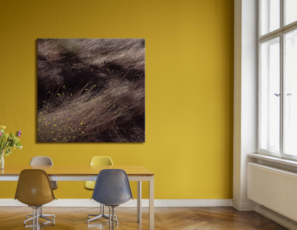 Авторская графика и фотография