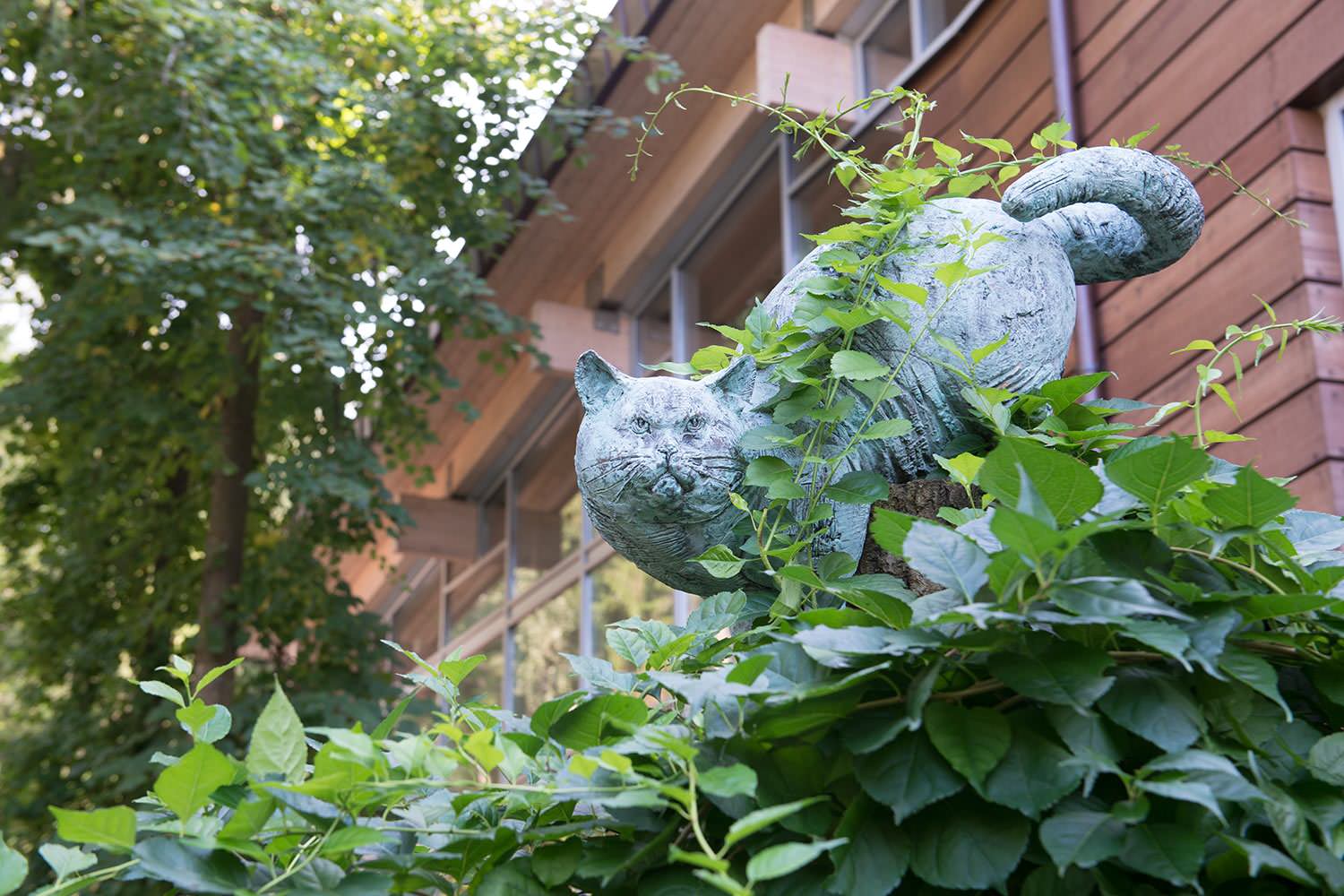 Сад с японским характером в КП Ландшафт
