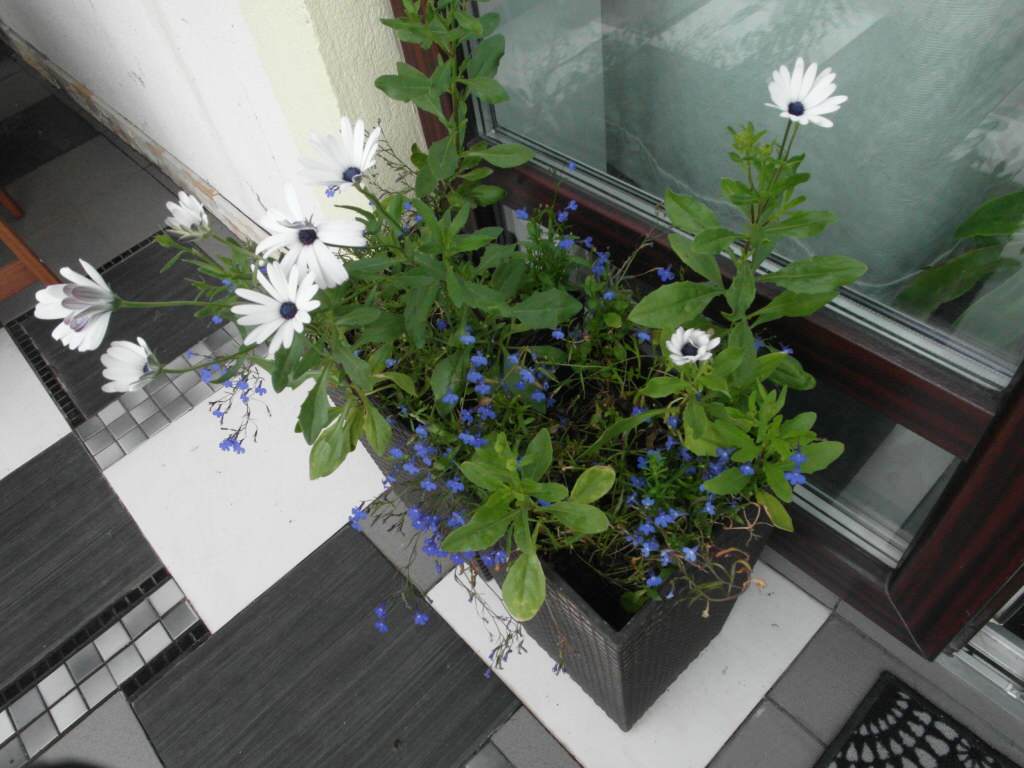 Личный опыт: Как дизайнер сделала из своего сада «сад отдыха»