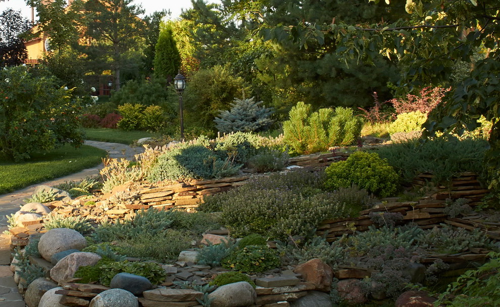 Витро Кантри