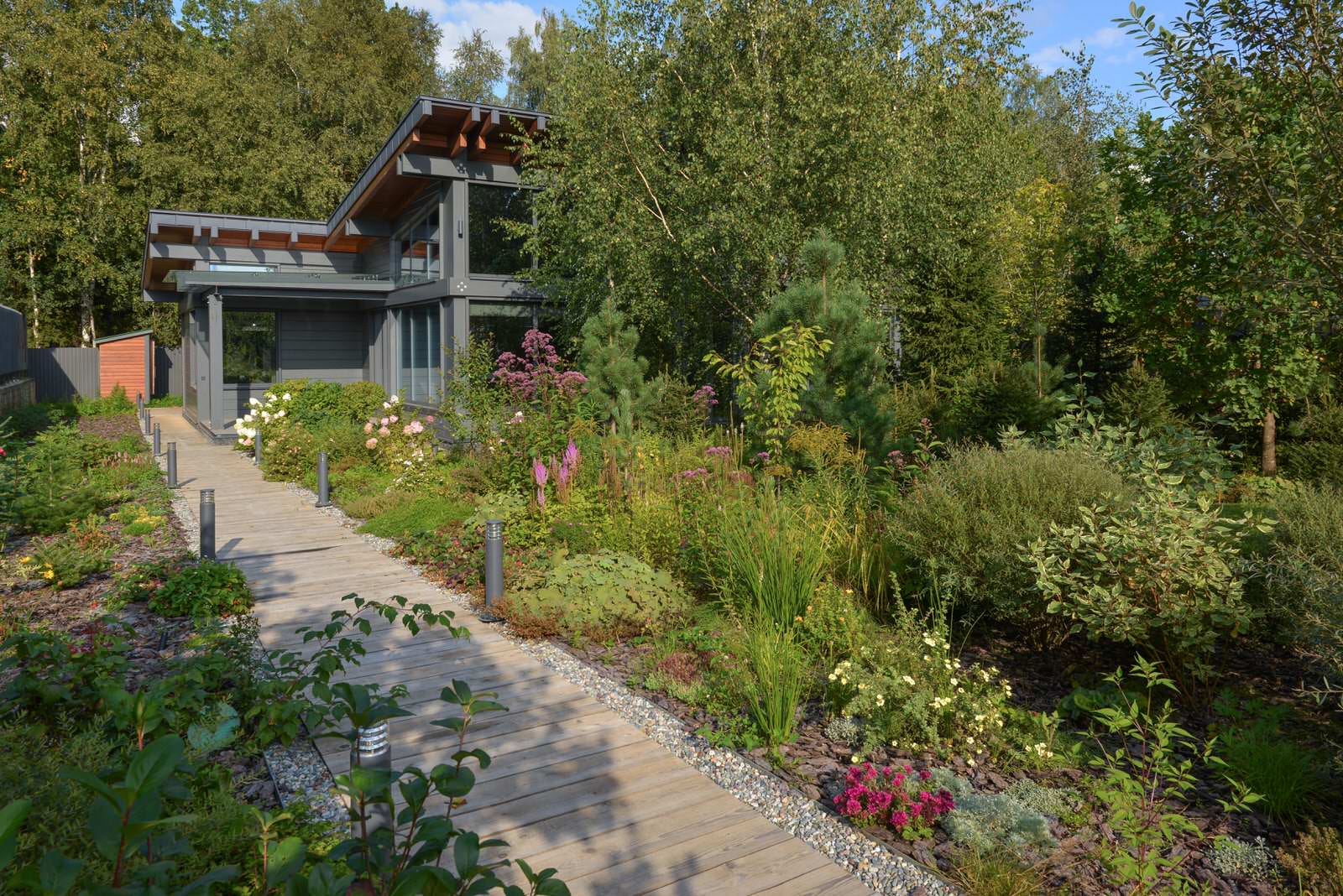 Обложка проекта: Сад "Симфония"