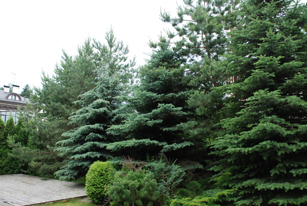 Небольшой сад на Рублевском шоссе