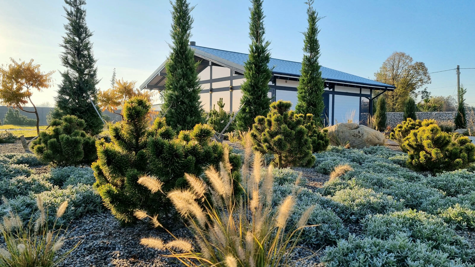 Реализация проекта Сад Реки