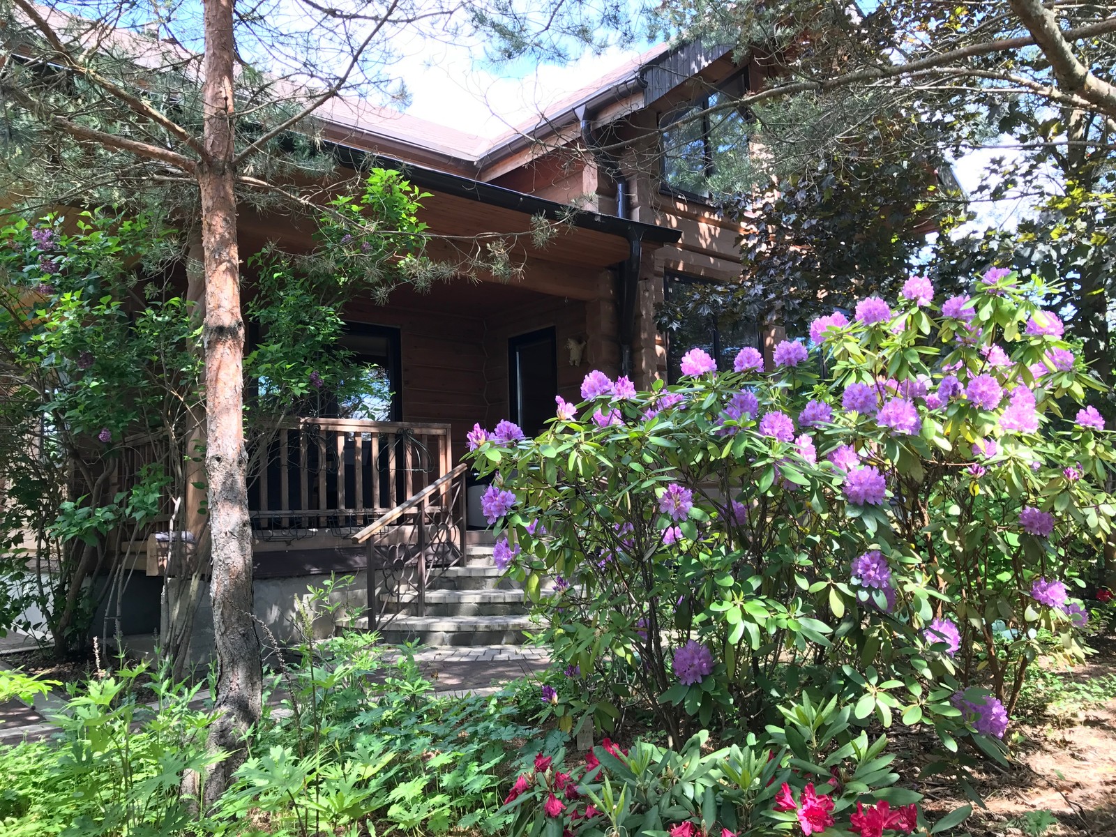 Буйство красочных форм в осеннем саду