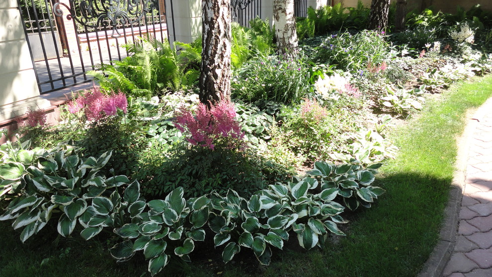 Теневые Сады