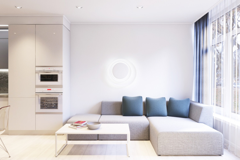 Дизайн интерьера однокомнатной квартиры для сдачи в аренду. Краснодар