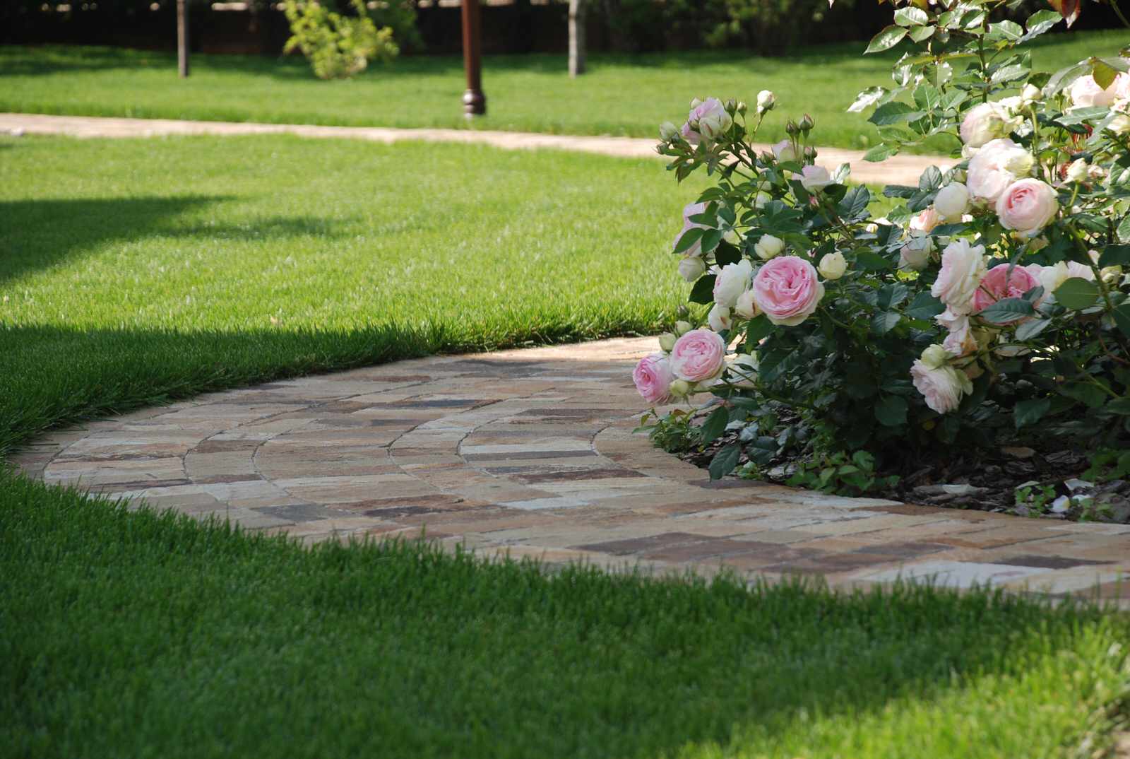 Сад в КП Миллениум Парк