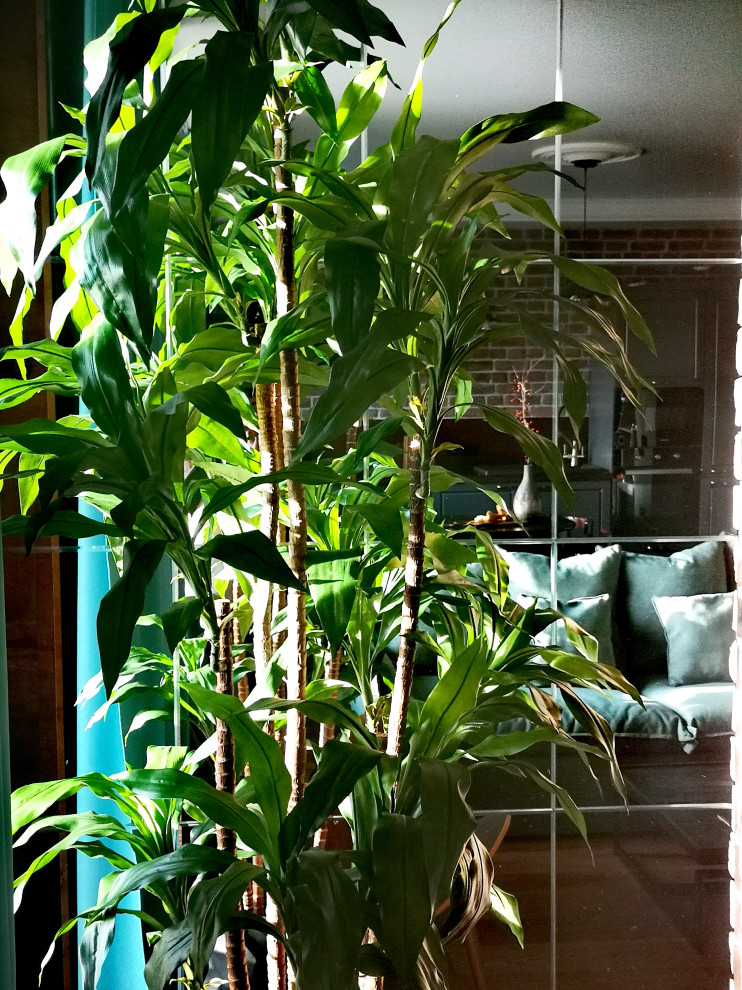 Новая жизнь Старого дома!