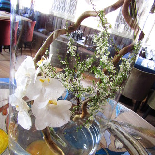 Виктория Инишева