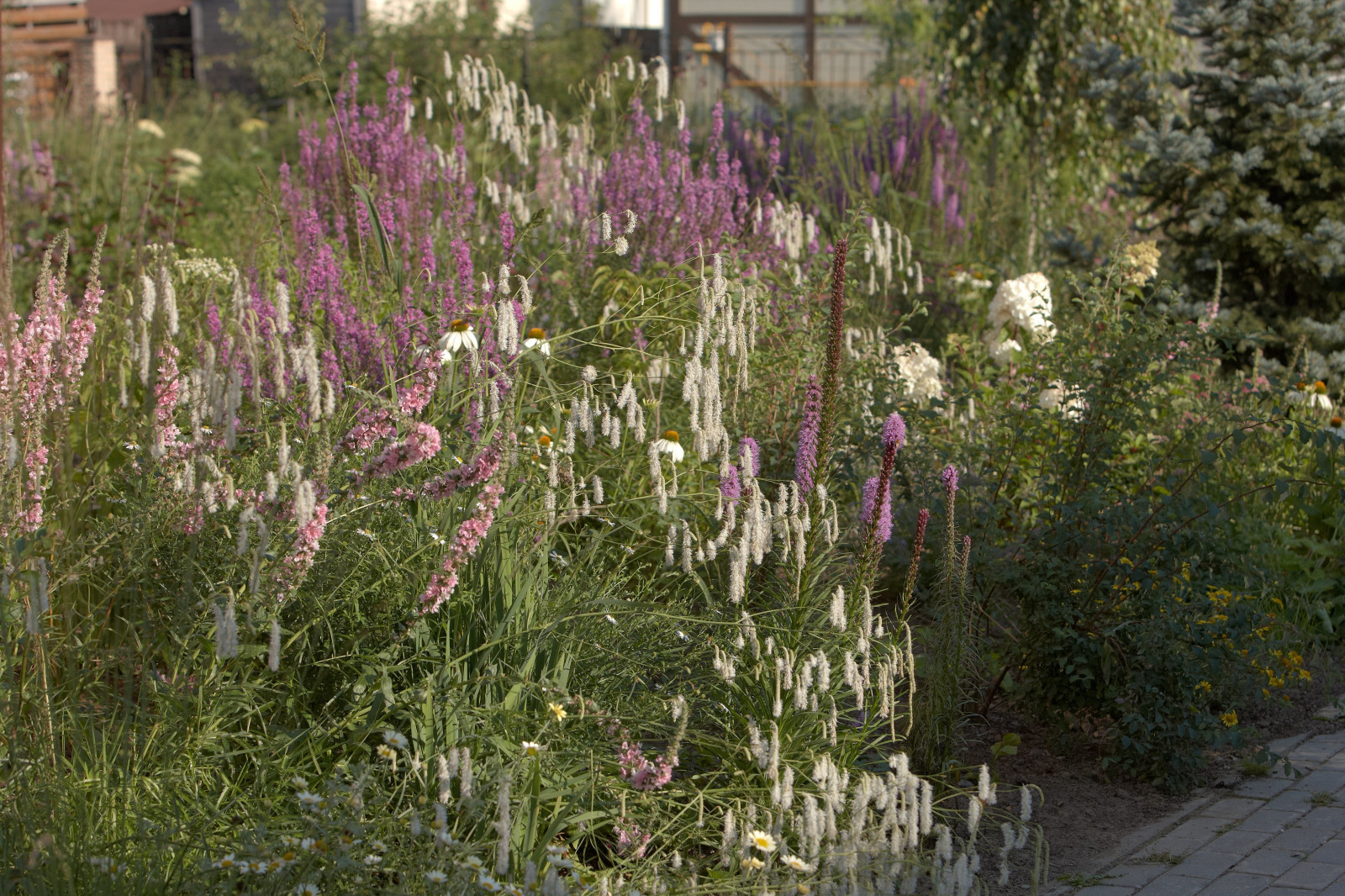 Отражение в каплях росы