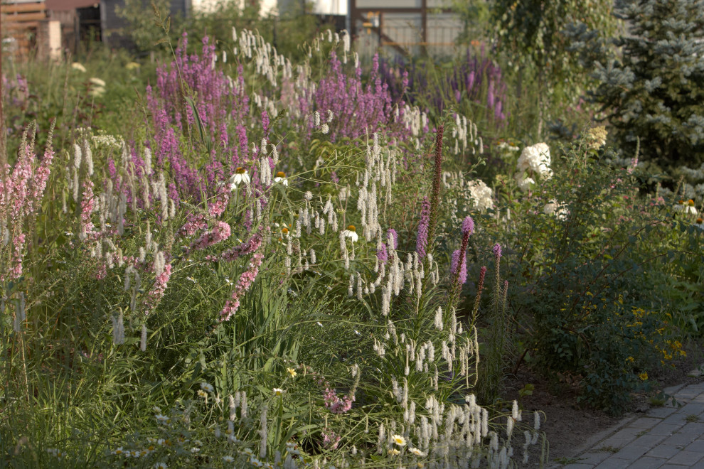 Отражение в каплях росы