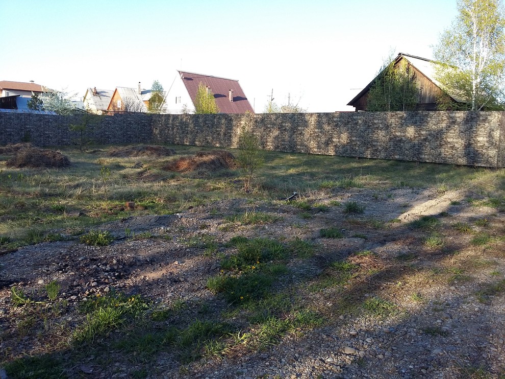 Белый ветер