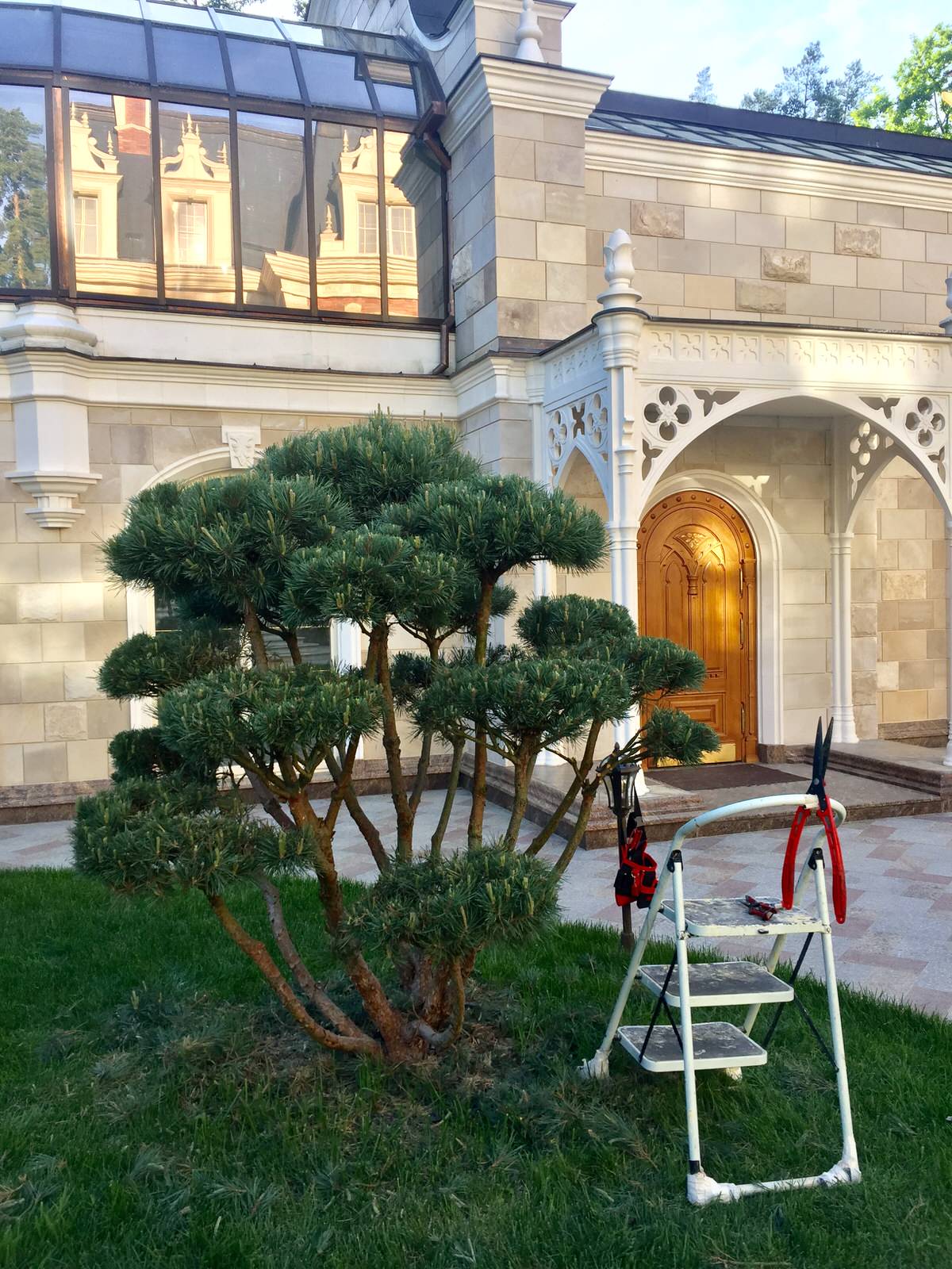 Сосновый Бор 2017-2019