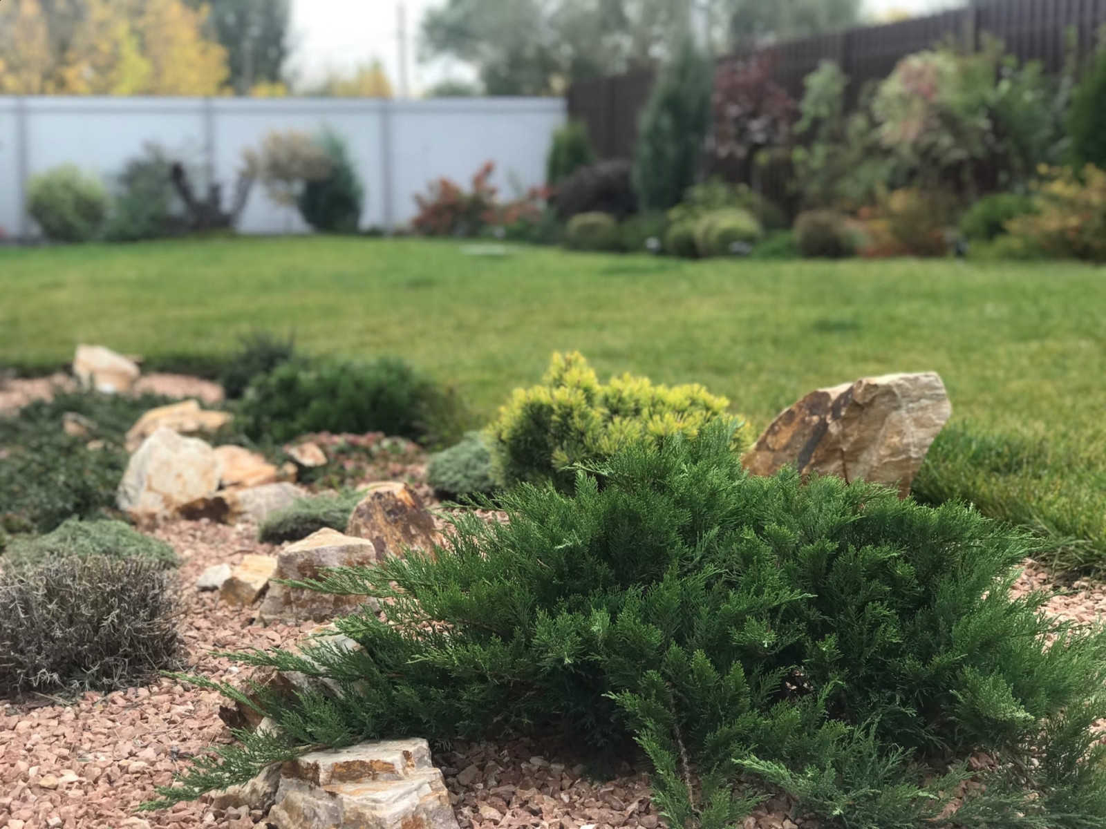 Любовь Марчук