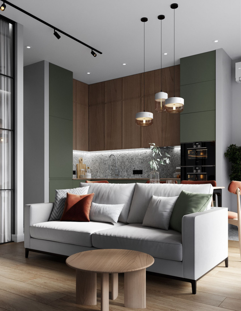 Дизайн-проект однокомнатной квартиры в современном стиле